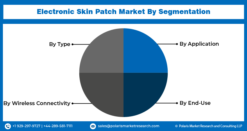 Electronic Skin Patch Market seg
